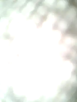 molozeb online show from 10-12-25, 11:42