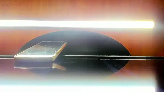 Snapshot of harly__queen chatting on 02-25-25, 06:42 harly queen online show from 02-25-25, 06:42