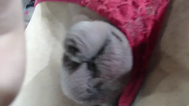 emma onassis 17 online show from 01-01-25, 09:17