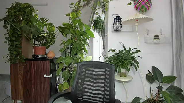 Snapshot of Oliver_Nl chatting on 11-17-25, 05:24 Oliver Nl online show from 11-17-25, 05:24