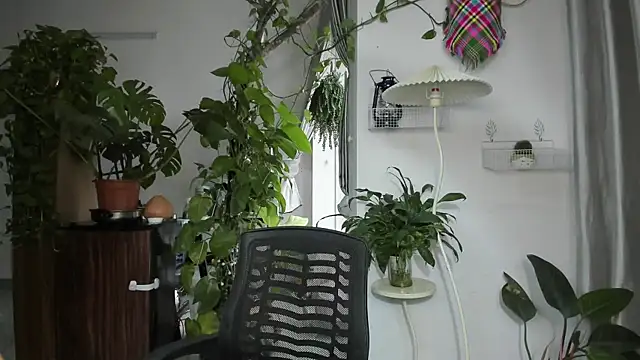 Snapshot of Oliver_Nl chatting on 11-19-25, 04:56 Oliver Nl online show from 11-19-25, 04:56