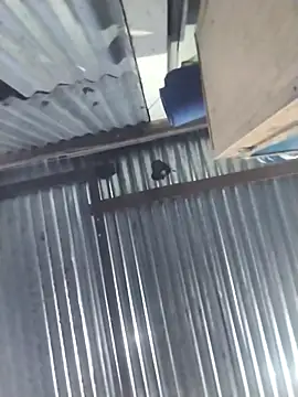 Snapshot of Ho66 chatting on 11-27-25, 05:09 Ho66 online show from 11-27-25, 05:09