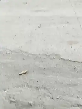 Snapshot of Monster_Bigdick chatting on 12-07-24, 10:56 Monster Bigdick online show from 12-07-24, 10:56