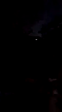 Dogz n daugthers online show from 12-21-24, 11:13