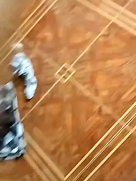 Snapshot of socrathes chatting on 02-26-26, 12:26 socrathes online show from 02-26-26, 12:26