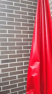 Deisy Torres online show from 01-08-26, 08:33