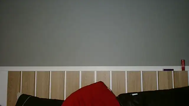 520 Loirex 741 online show from 02-16-25, 06:43