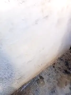 rau 4455 online show from 11-05-25, 11:10