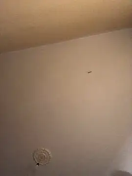 Snapshot of ClatteryPrexy chatting on 12-16-24, 04:27 ClatteryPrexy online show from 12-16-24, 04:27