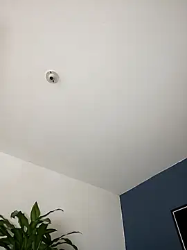 SilvaBranko online show from 11-02-25, 11:07