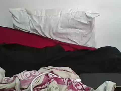 Whimsicalwillow online show from 02-22-25, 01:13