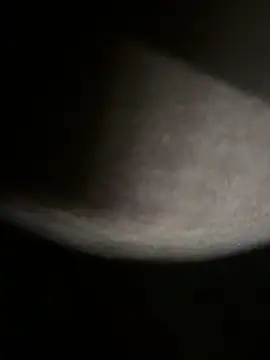 Bongcrush 3 online show from 03-08-25, 01:17