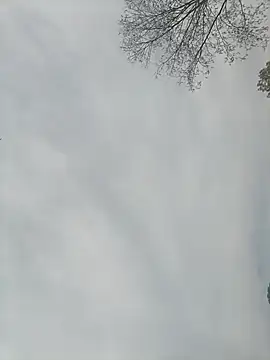 Nkumar173 online show from 02-13-25, 05:26