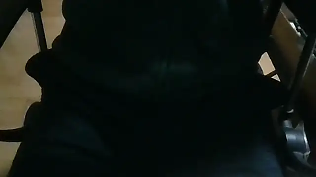 shibayam online show from 04-08-26, 04:29