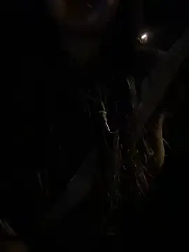 Snapshot of -mirai- chatting on 02-28-25, 03:04 -mirai- online show from 02-28-25, 03:04