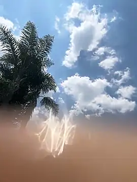 Snapshot of THEBUTTERNUT chatting on 02-06-26, 11:02 THEBUTTERNUT online show from 02-06-26, 11:02