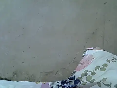 Snapshot of hairyswt_pus chatting on 11-23-25, 12:32 hairyswt pus online show from 11-23-25, 12:32