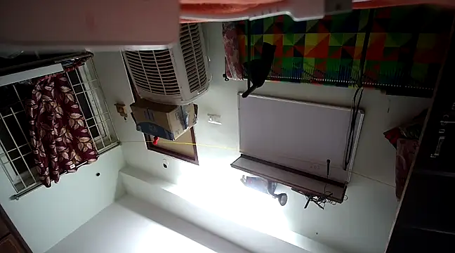 naughtymike0007 online show from 01-19-25, 04:36