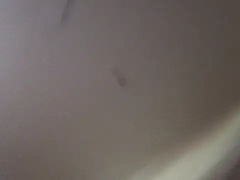 Snapshot of Gin4Cole chatting on 09-25-25, 11:52 Gin4Cole online show from 09-25-25, 11:52