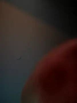 lolabun247 online show from 11-02-25, 10:50