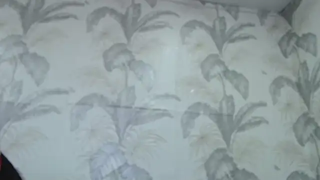 CamDiva113 online show from 02-08-25, 10:07