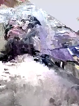 NikaMur online show from 10-12-25, 02:21