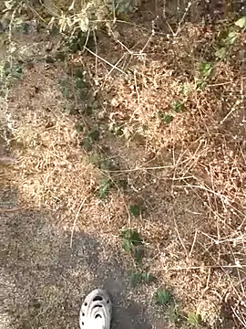 Snapshot of Ajith_mvi chatting on 03-21-26, 11:37 Ajith mvi online show from 03-21-26, 11:37