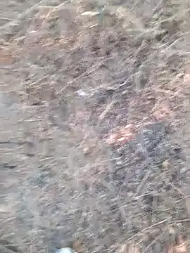 Snapshot of Ajith_mvi chatting on 04-06-26, 12:06 Ajith mvi online show from 04-06-26, 12:06