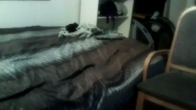 bigdickmtlqc online show from 12-30-24, 12:43