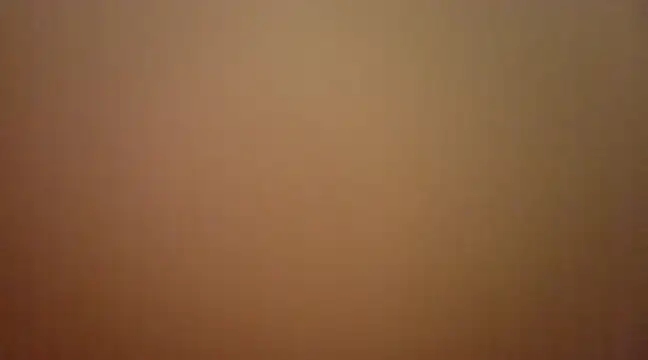 sonowhite online show from 02-12-25, 03:27