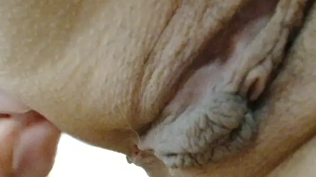 sonyx online show from 03-24-26, 05:40