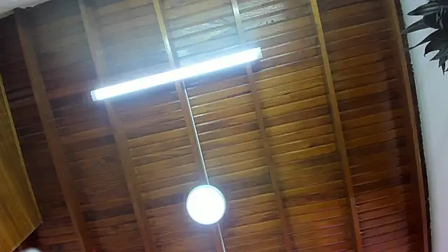 Levy Steve online show from 11-26-25, 06:36