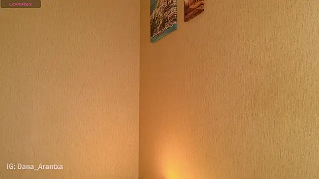 Snapshot of DanArant chatting on 10-11-25, 08:51 DanArant online show from 10-11-25, 08:51