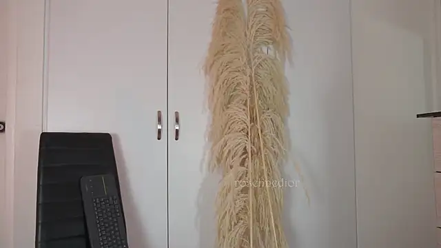 roselinedior online show from 10-20-25, 02:17