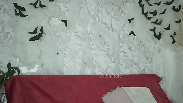 roselinedior online show from 10-28-25, 01:14