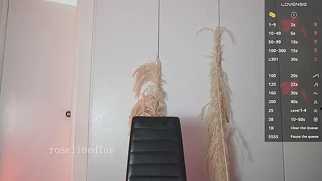 roselinedior online show from 01-15-26, 01:16