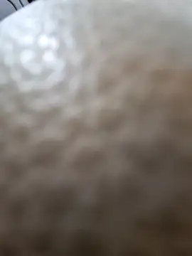 Kamarasa69 online show from 12-18-25, 08:53