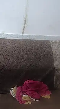 Snapshot of Aaradhya chatting on 02-24-25, 03:33 Aaradhya online show from 02-24-25, 03:33