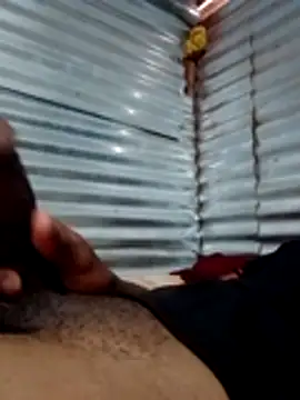 walPssY1 online show from 10-23-25, 08:46