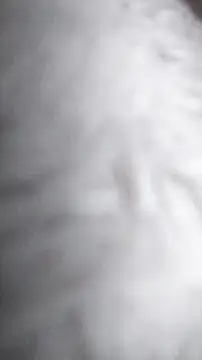 Ajhustler1xh online show from 01-09-26, 11:46