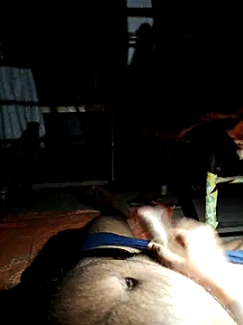 findmemylove online show from 03-01-25, 08:42