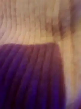 Snapshot of AsStraightAsARuler chatting on 12-03-25, 05:04 AsStraightAsARuler online show from 12-03-25, 05:04