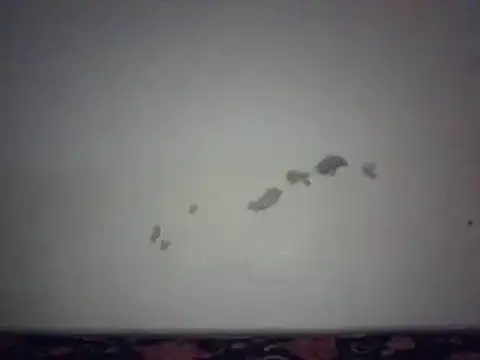 pritty-leila online show from 01-02-25, 02:46