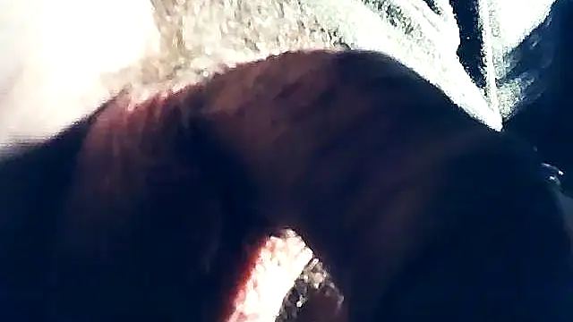 Snapshot of wedge75 chatting on 02-08-25, 10:29 wedge75 online show from 02-08-25, 10:29