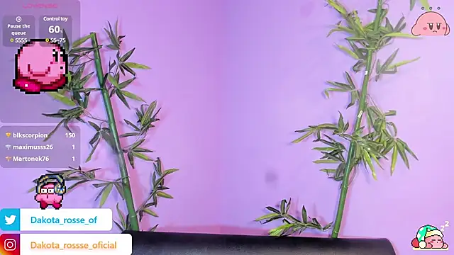 DakotaRosee online show from 02-17-25, 05:25