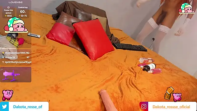 DakotaRosee online show from 02-21-25, 09:13