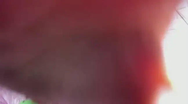 Snapshot of Kimmymadison- chatting on 03-09-25, 06:39 Kimmymadison- online show from 03-09-25, 06:39