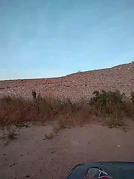 FloppyPickle4u online show from 02-02-25, 02:56