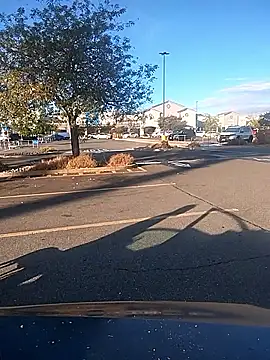 FloppyPickle4u online show from 09-09-25, 03:11