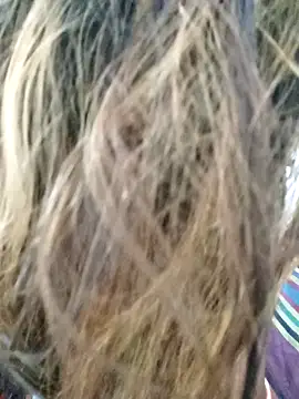 littlequeen77 online show from 03-11-25, 08:31